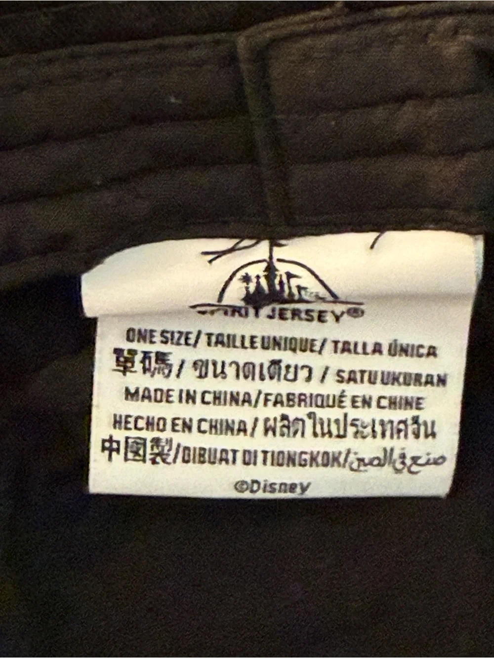Disneyland Resort Bucket Hat